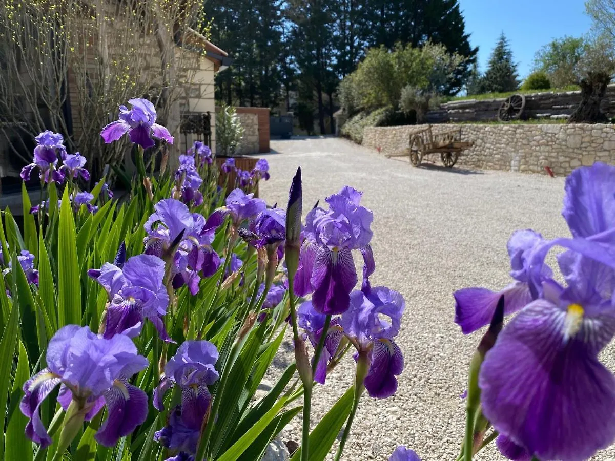 Bed and Breakfast Le Relais De Campagne Trejouls